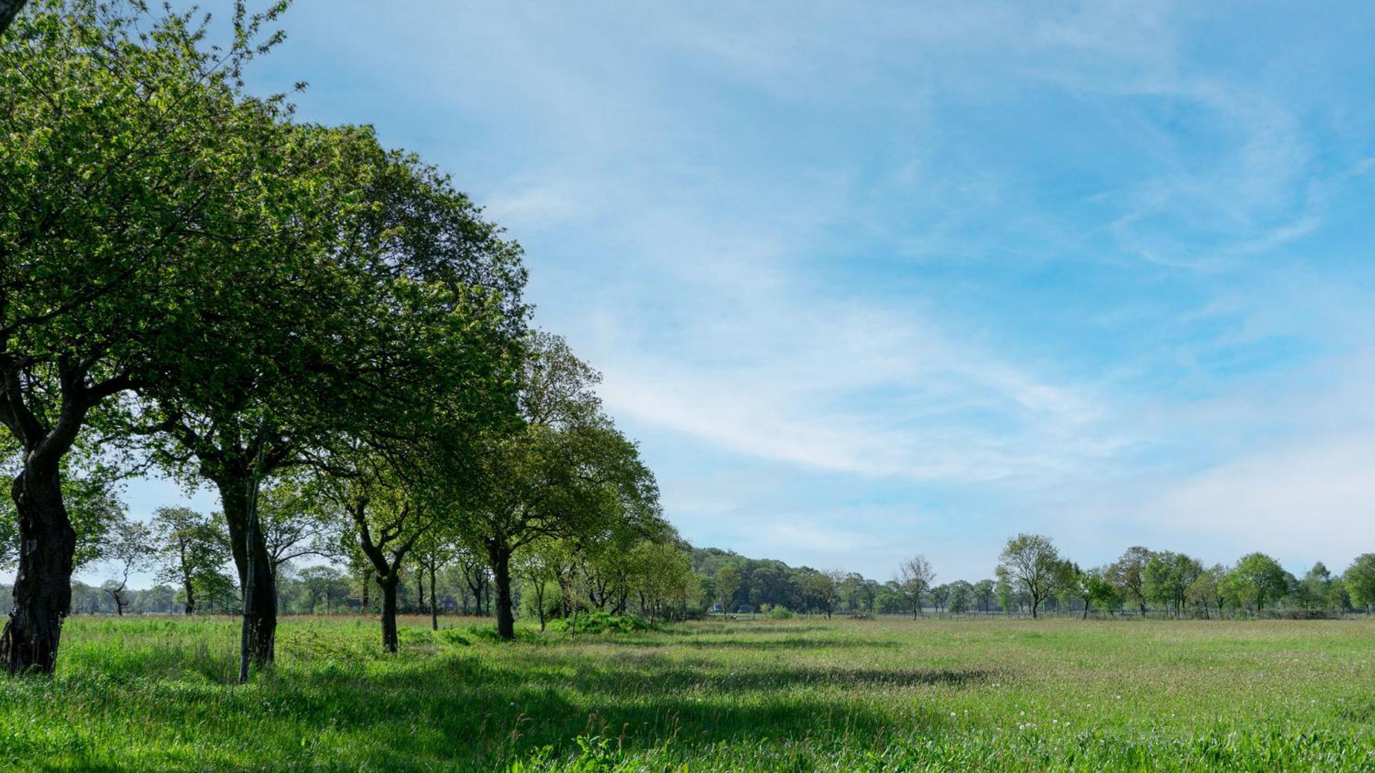 Friesensee Camping Und Ferienpark Wittmund Exteriér fotografie